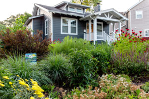 This DC Couple Transformed Their Yard Into a Native Plant Paradise