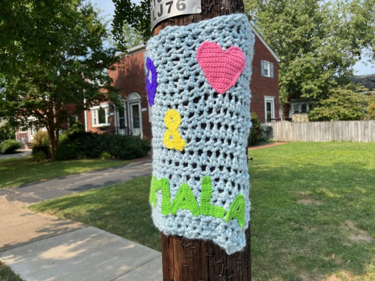 Del-Ray-Yarn-Art-2 Del-Ray-Yarn-Art-2