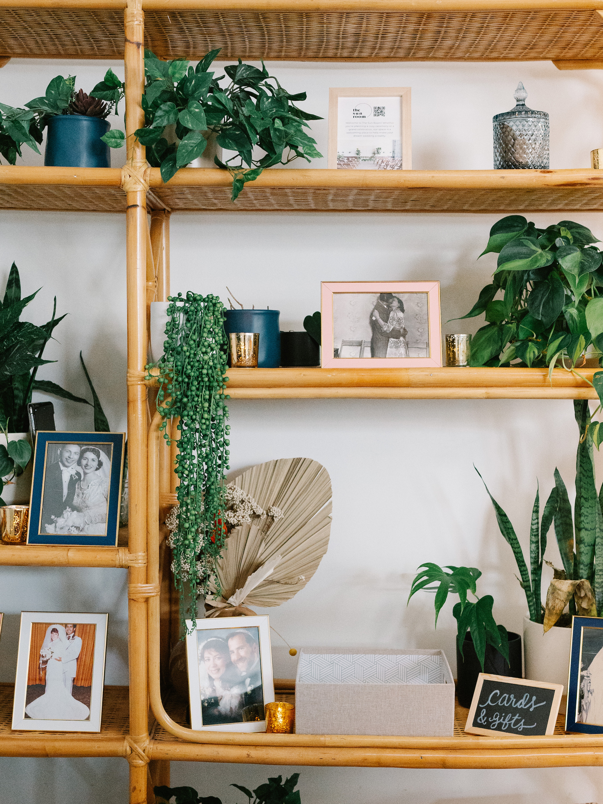 Bob & Ilisa | The Sun Room