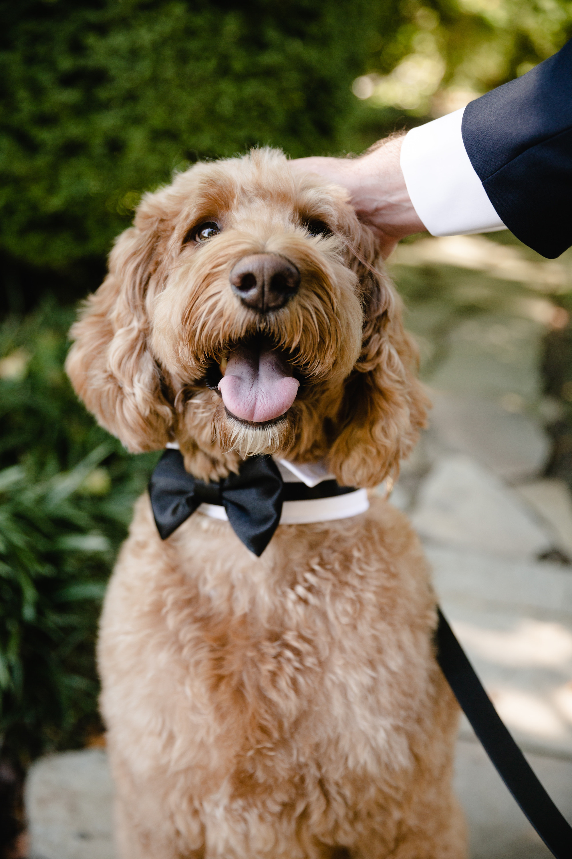 Ali + Scott: Previews Ali + Scott: Previews