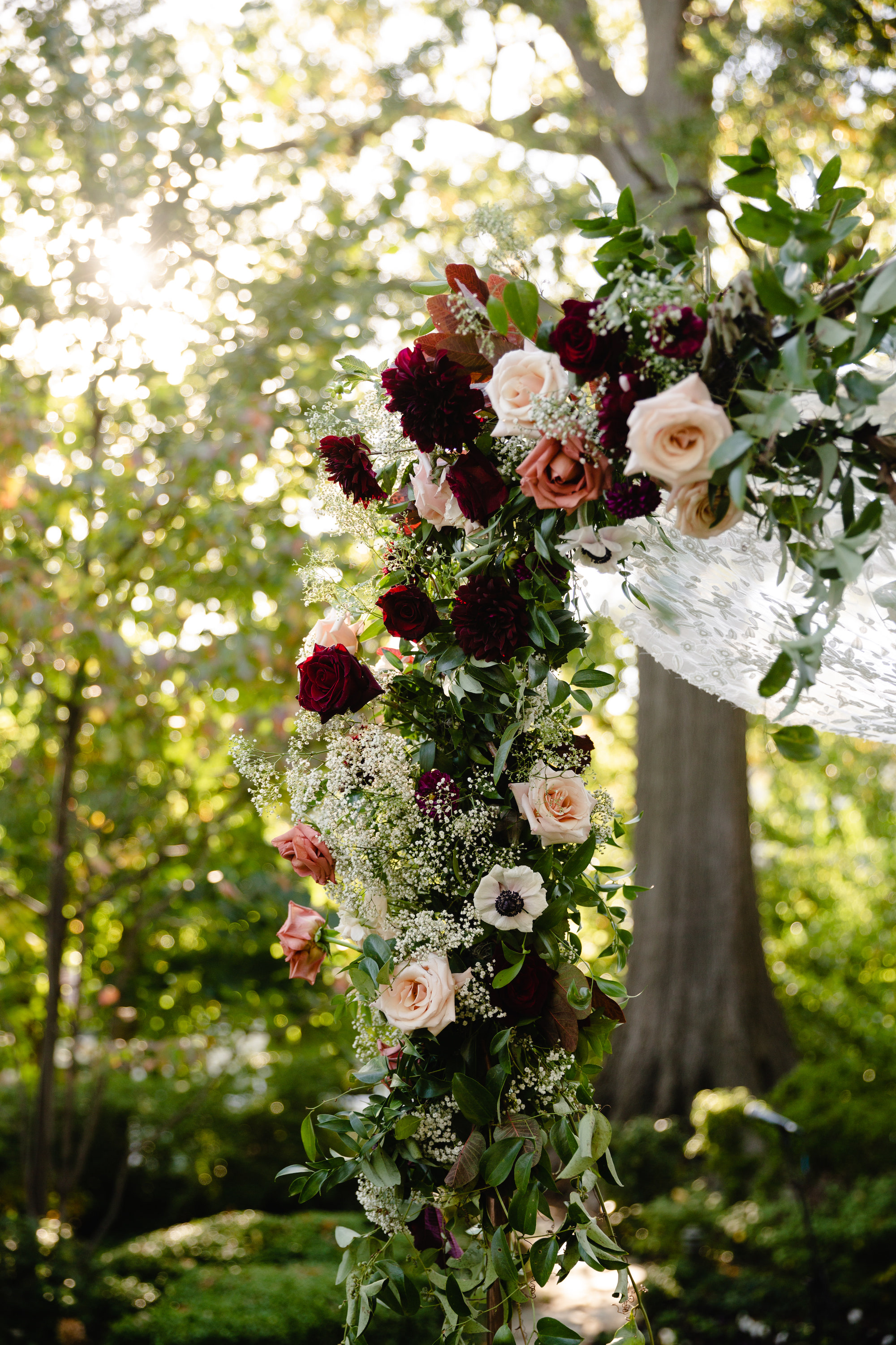 Ali + Scott: Previews Ali + Scott: Previews