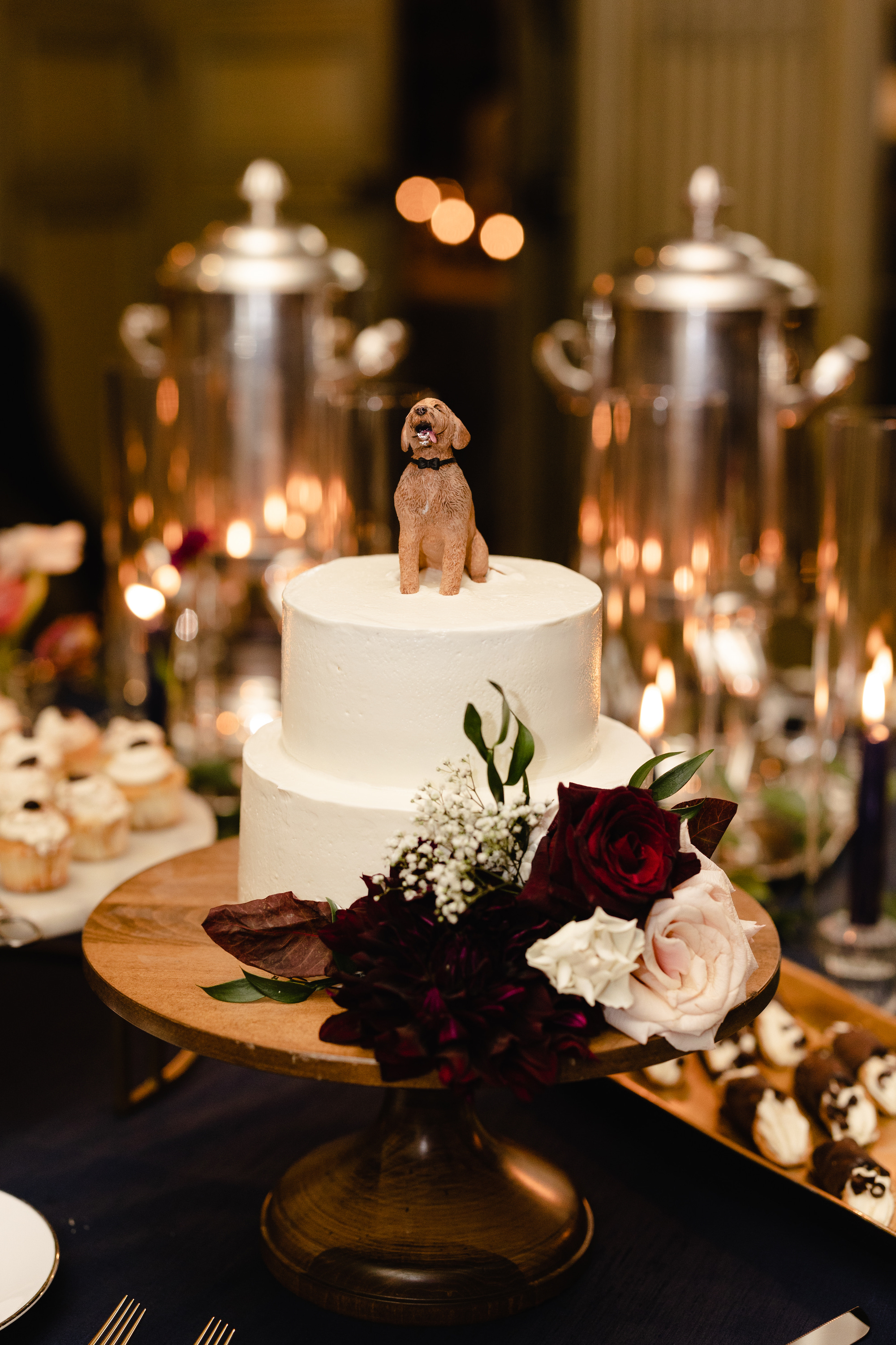 Ali + Scott: Previews Ali + Scott: Previews