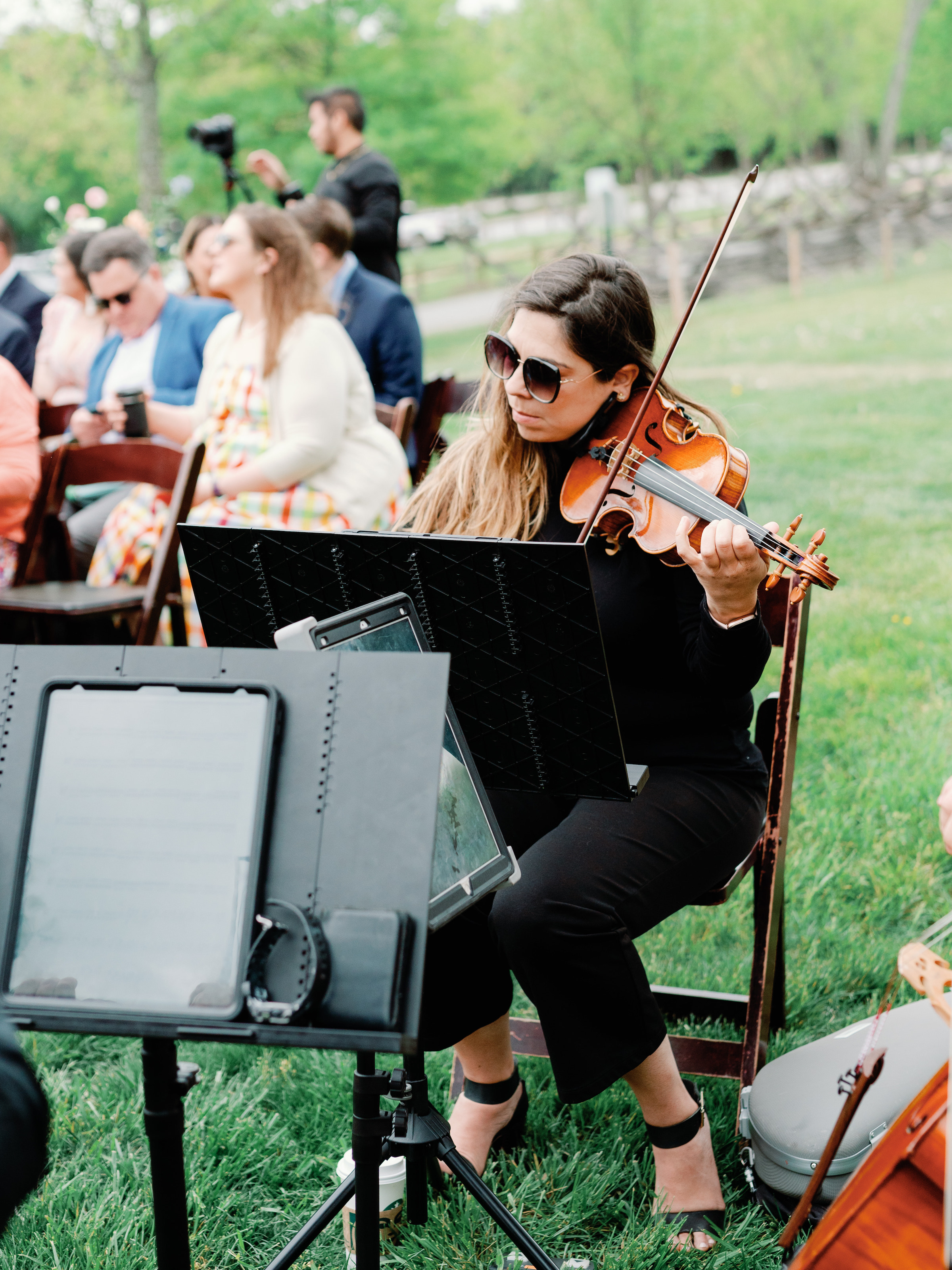 The Shapiros The Shapiros