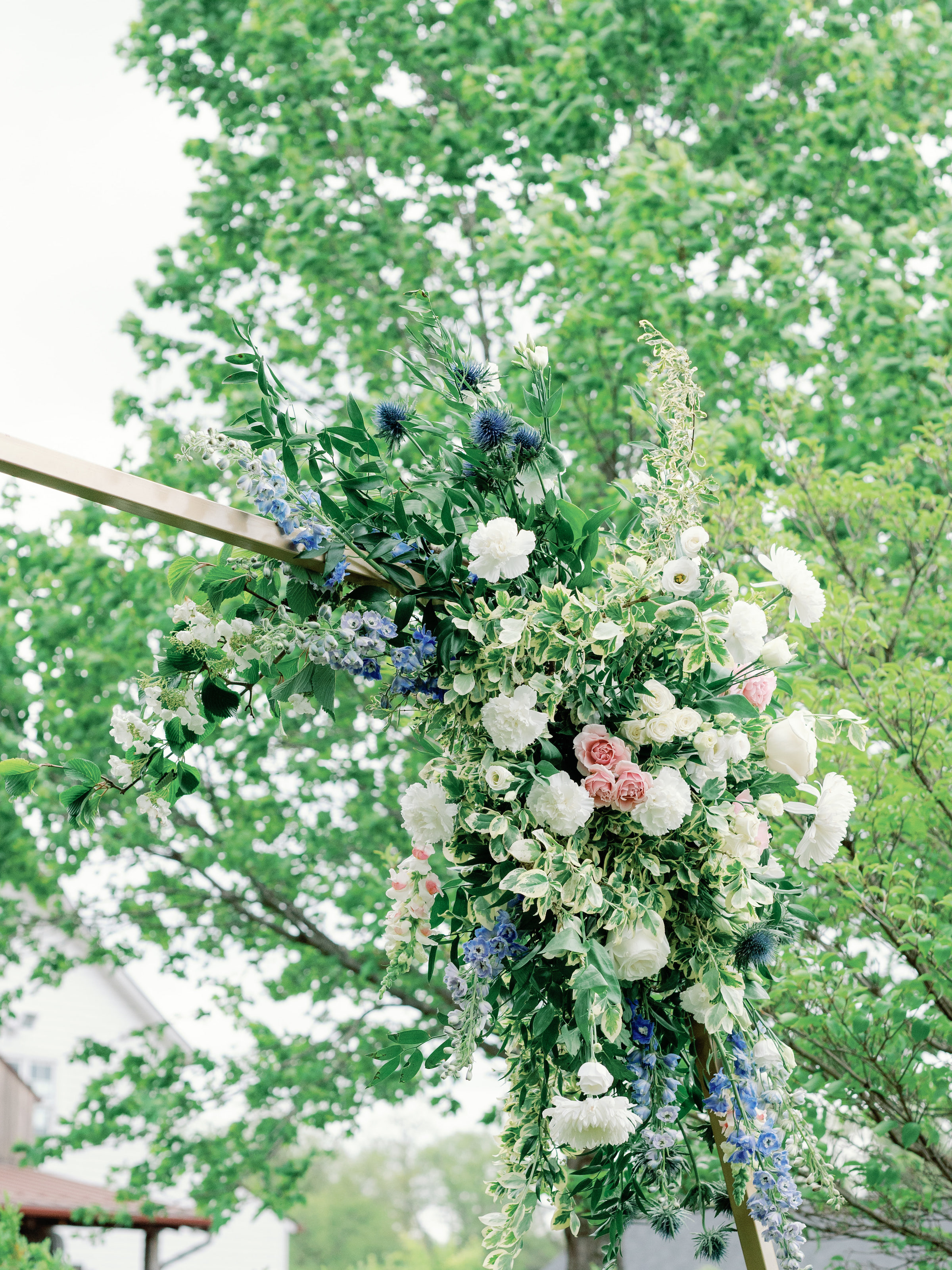 The Shapiros The Shapiros