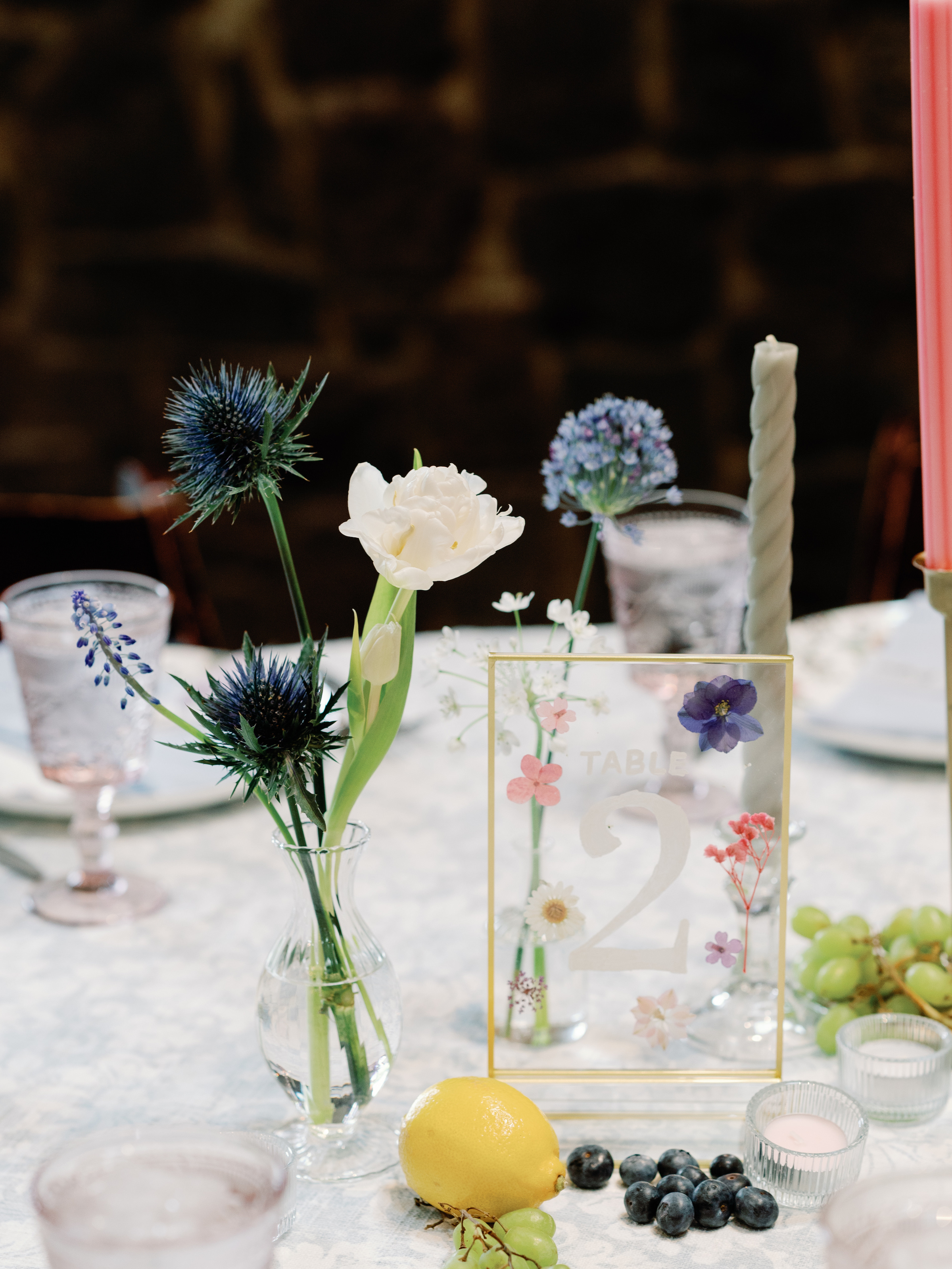 The Shapiros The Shapiros