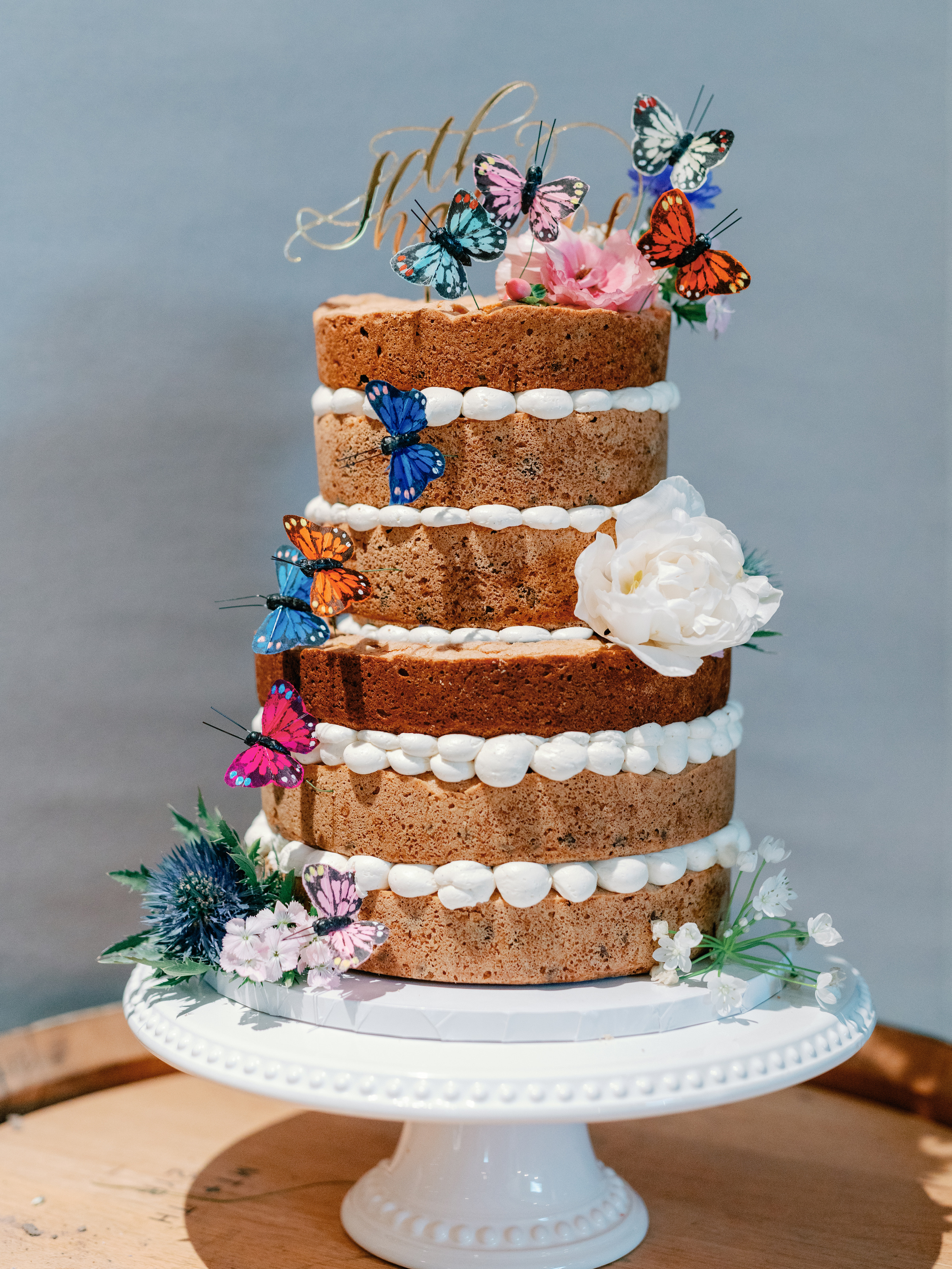 The Shapiros The Shapiros