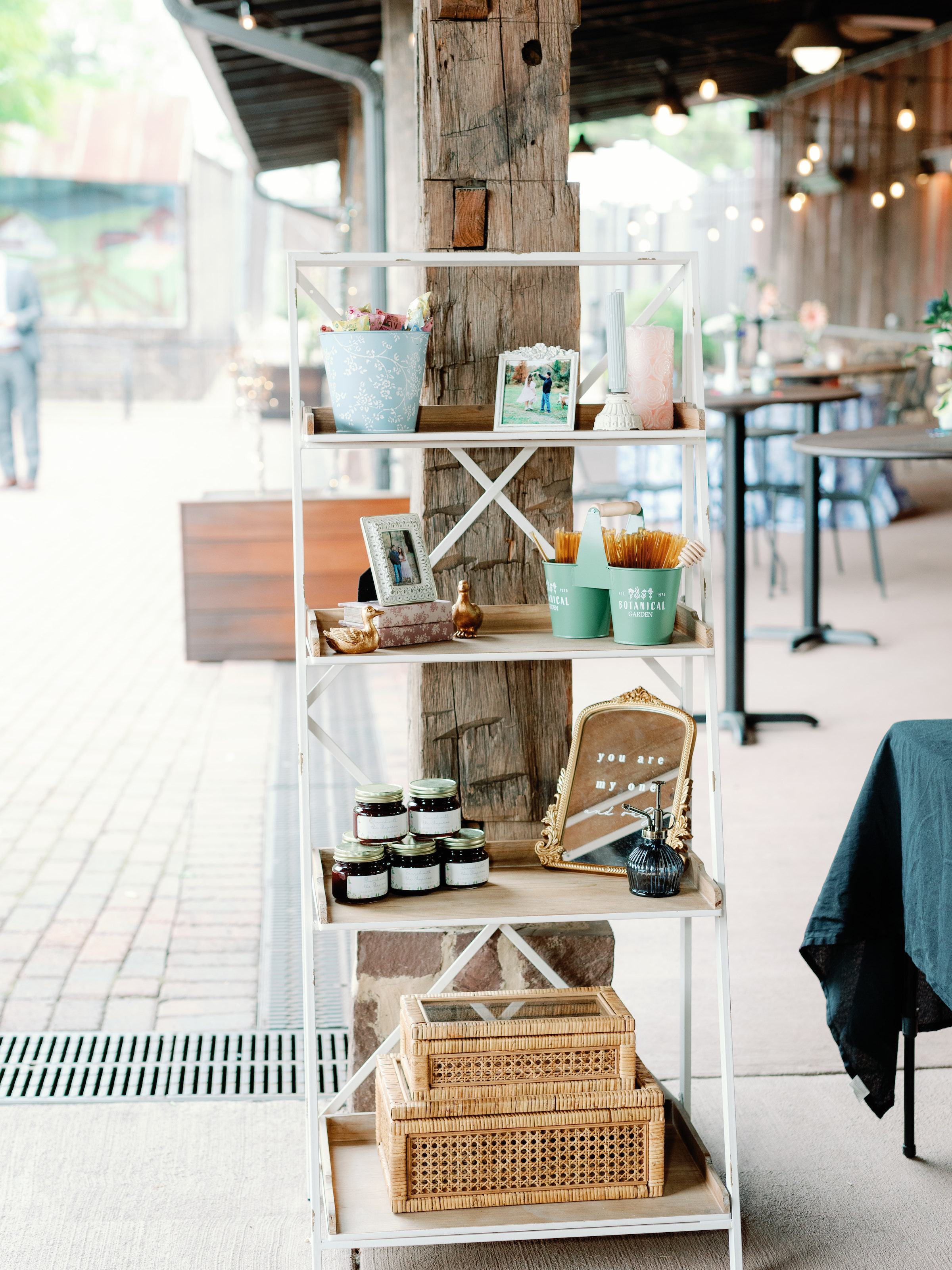 The Shapiros The Shapiros