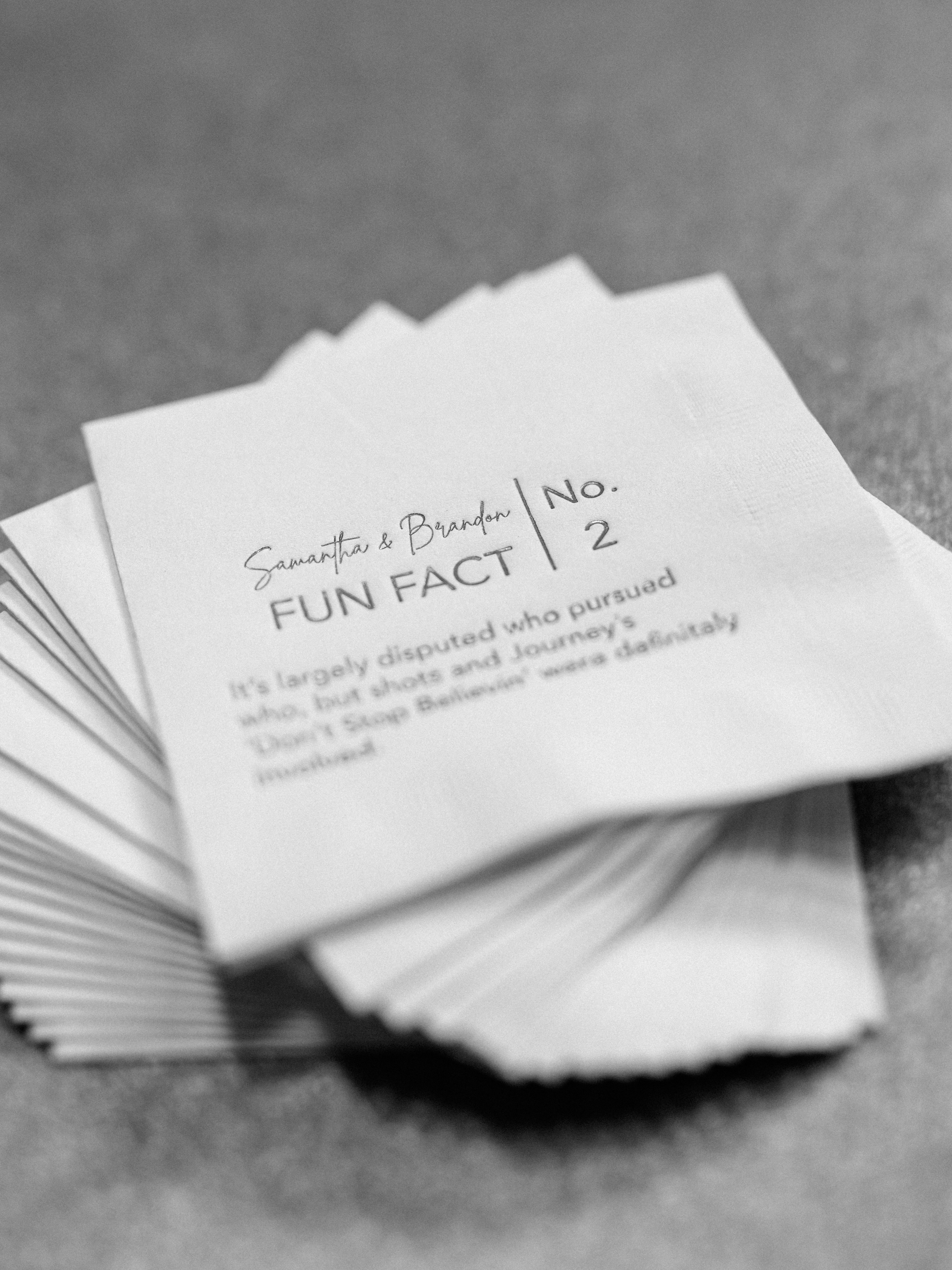 The Shapiros The Shapiros