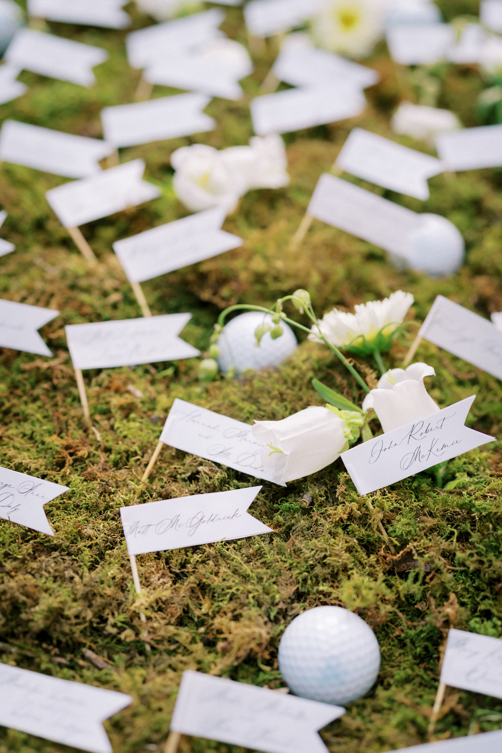 Halie & Mark Wedding Gallery Halie & Mark Wedding Gallery