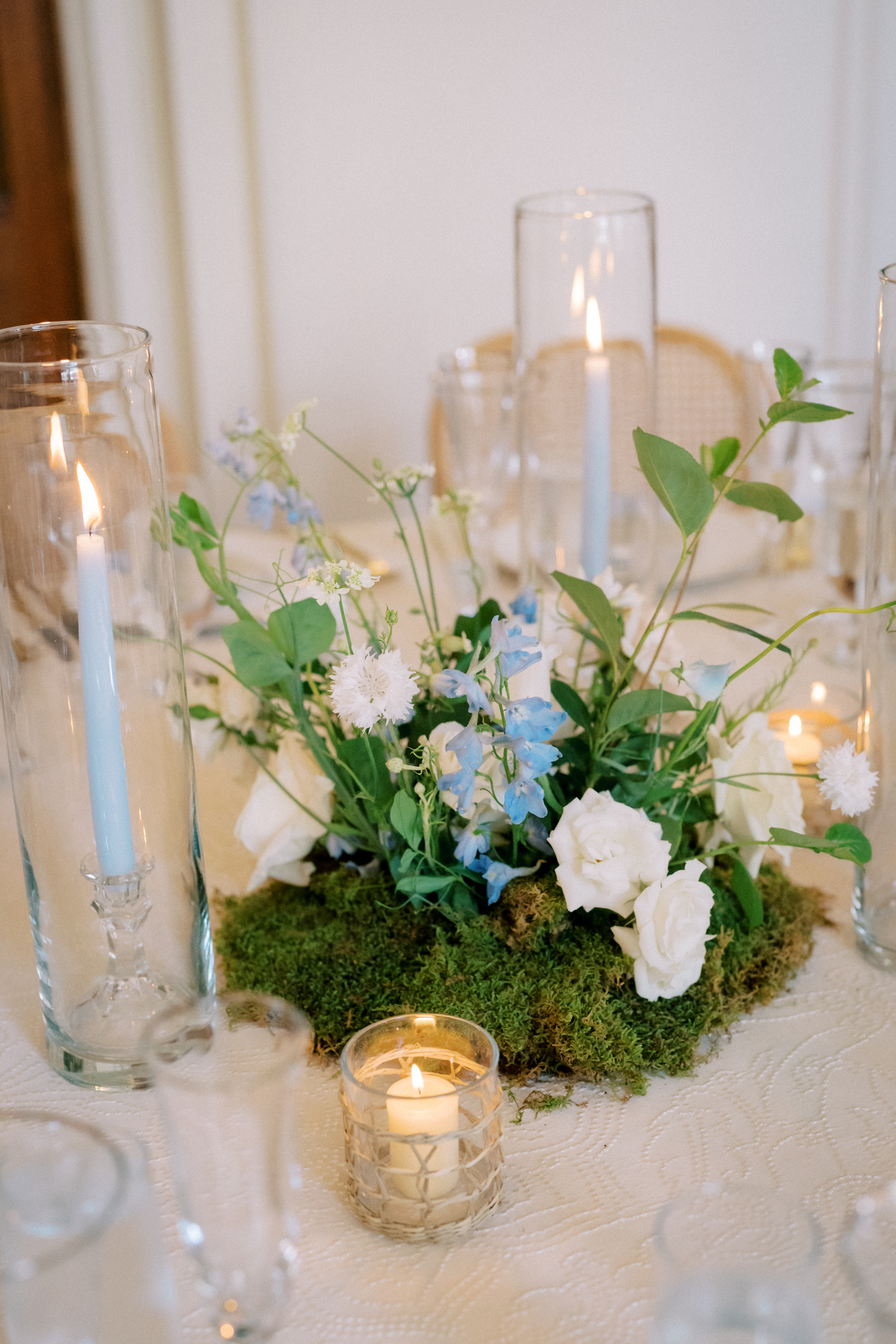 Halie & Mark Wedding Gallery Halie & Mark Wedding Gallery