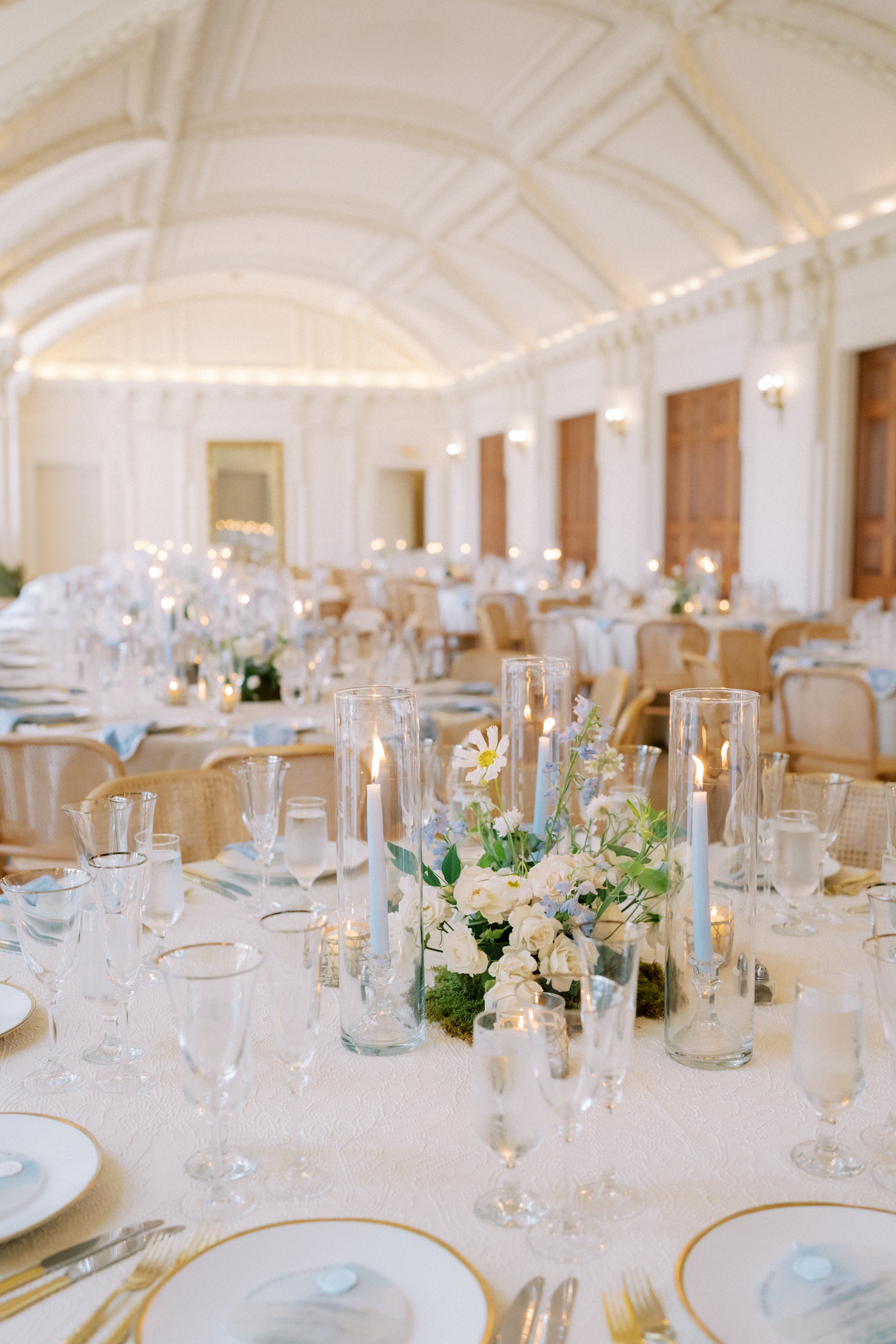 Halie & Mark Wedding Gallery Halie & Mark Wedding Gallery