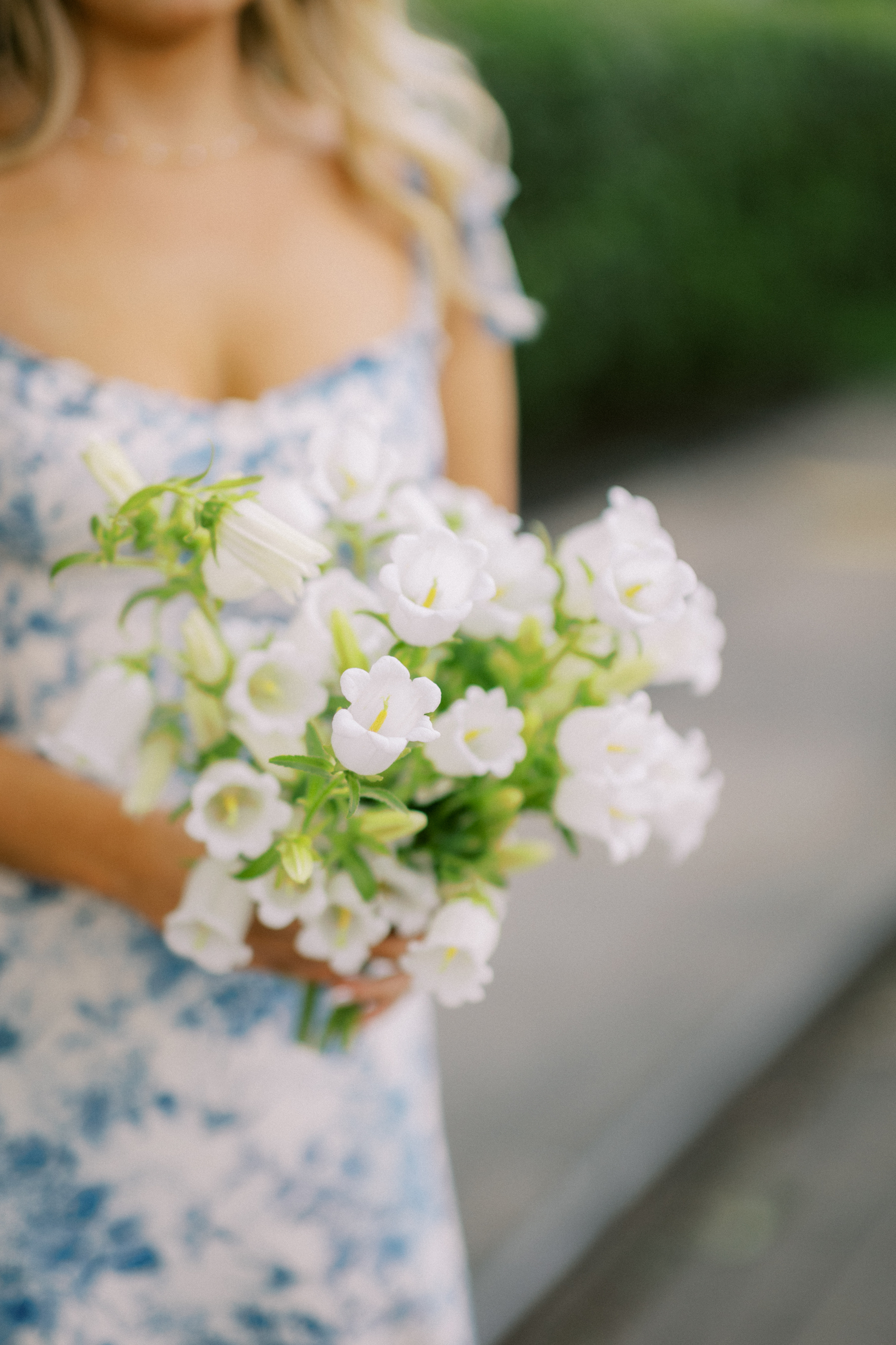 Halie & Mark Wedding Gallery Halie & Mark Wedding Gallery