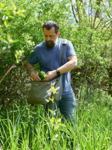 You Can Take a Class With This Forager and Part-Time Musician