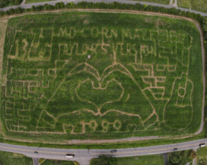 A Taylor Swift-Themed Corn Maze Is Debuting This Weekend