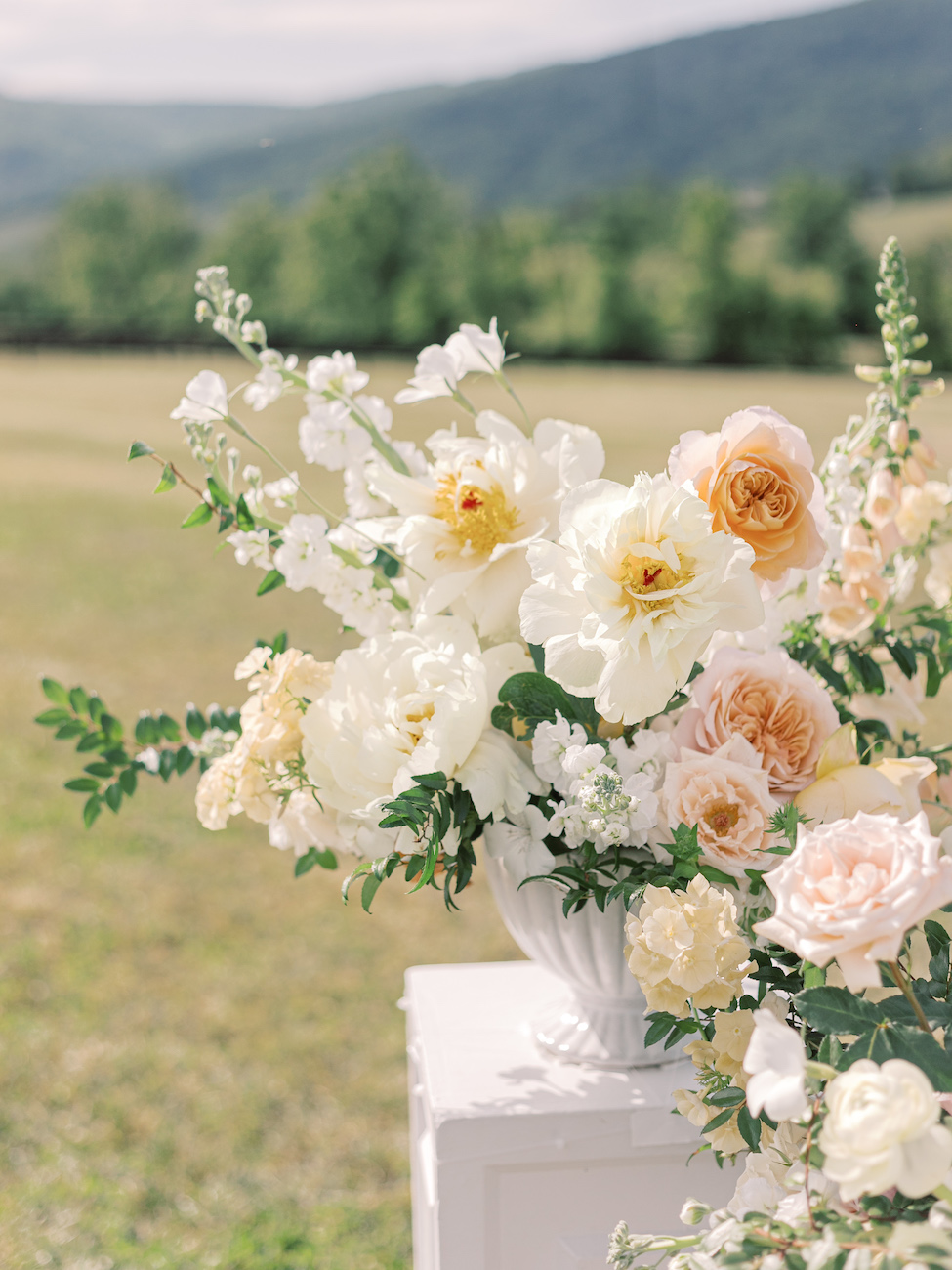 MLP-Abbie-Will-King-Family-Vineyard-Charlottesville-Wedding-Finals-502