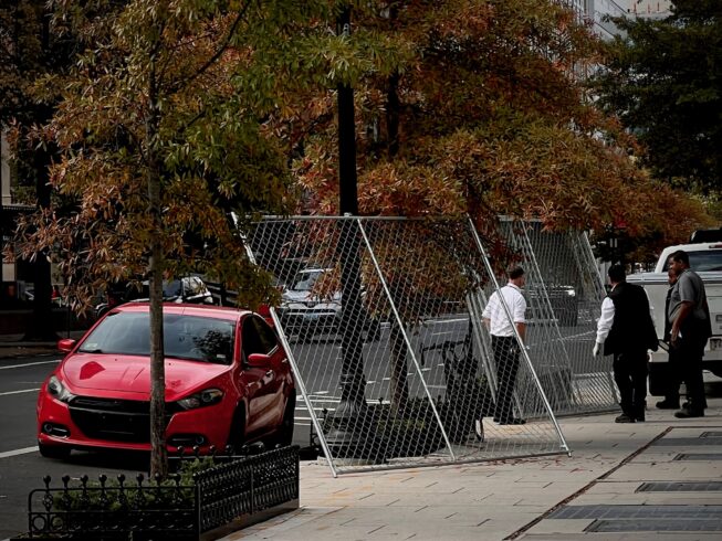 boards-vibes-election-2024-2