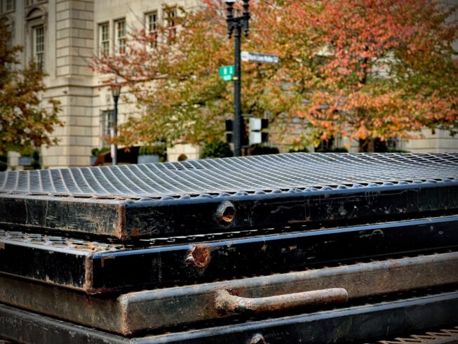 boards-vibes-election-2024-5