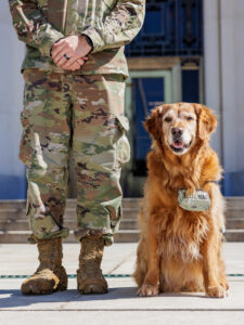 Meet the Working Dogs of DC