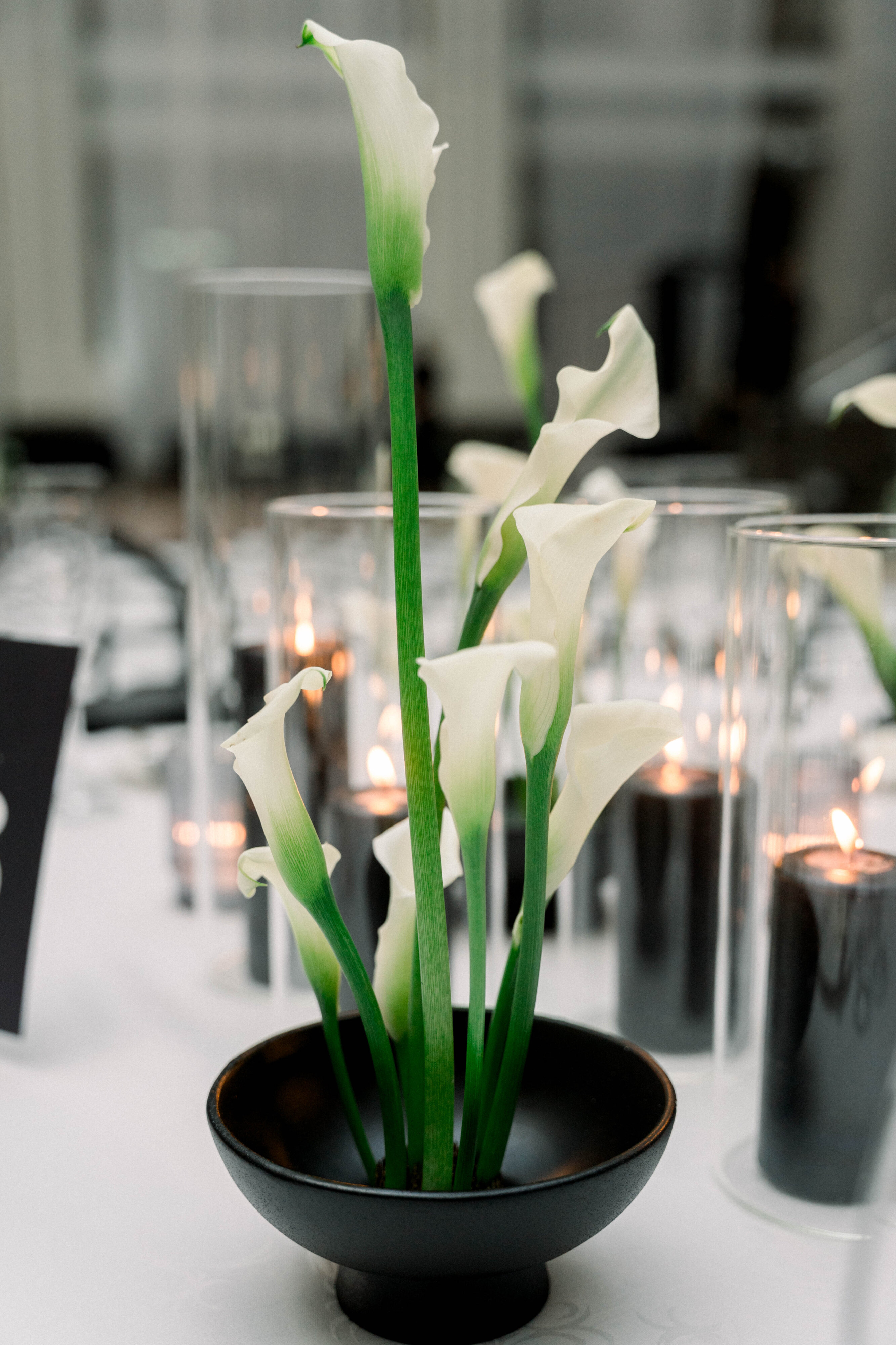 Sarah and Caleb Sarah and Caleb