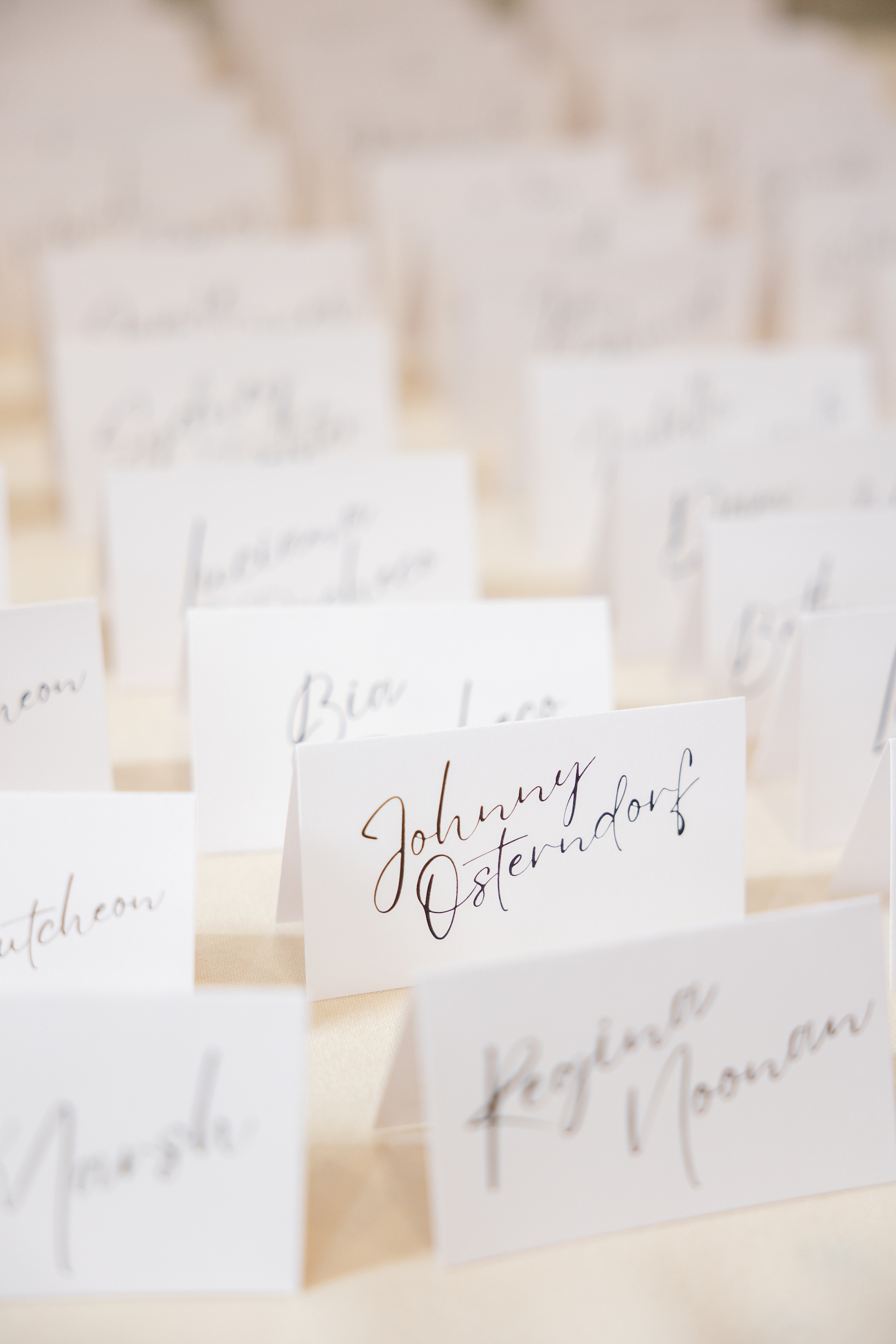 HaleyDayPhoto-EasternMarketWedding112 HaleyDayPhoto-EasternMarketWedding112