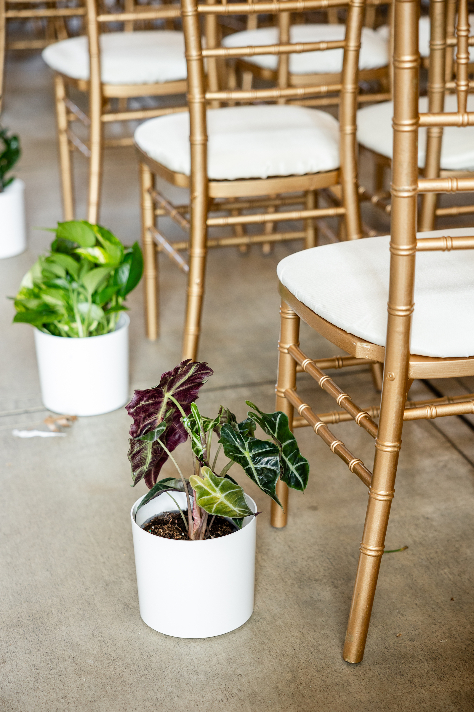 HaleyDayPhoto-EasternMarketWedding83 HaleyDayPhoto-EasternMarketWedding83