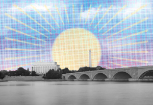 Trump Executive Orders, January 6 Pardons, and Don’t Forget That It’s Also Panda Week