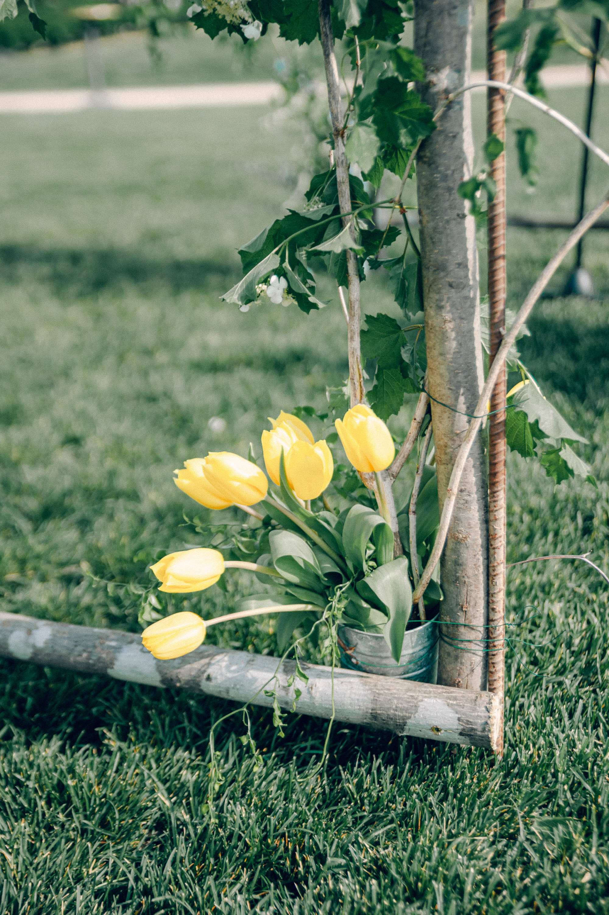 pippinhillweddingcharlottesvillevirginiaweddingphotographersarahhouston-95