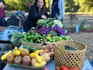 These DC Food Activists Were Behind the Ranked-Choice-Voting Initiative