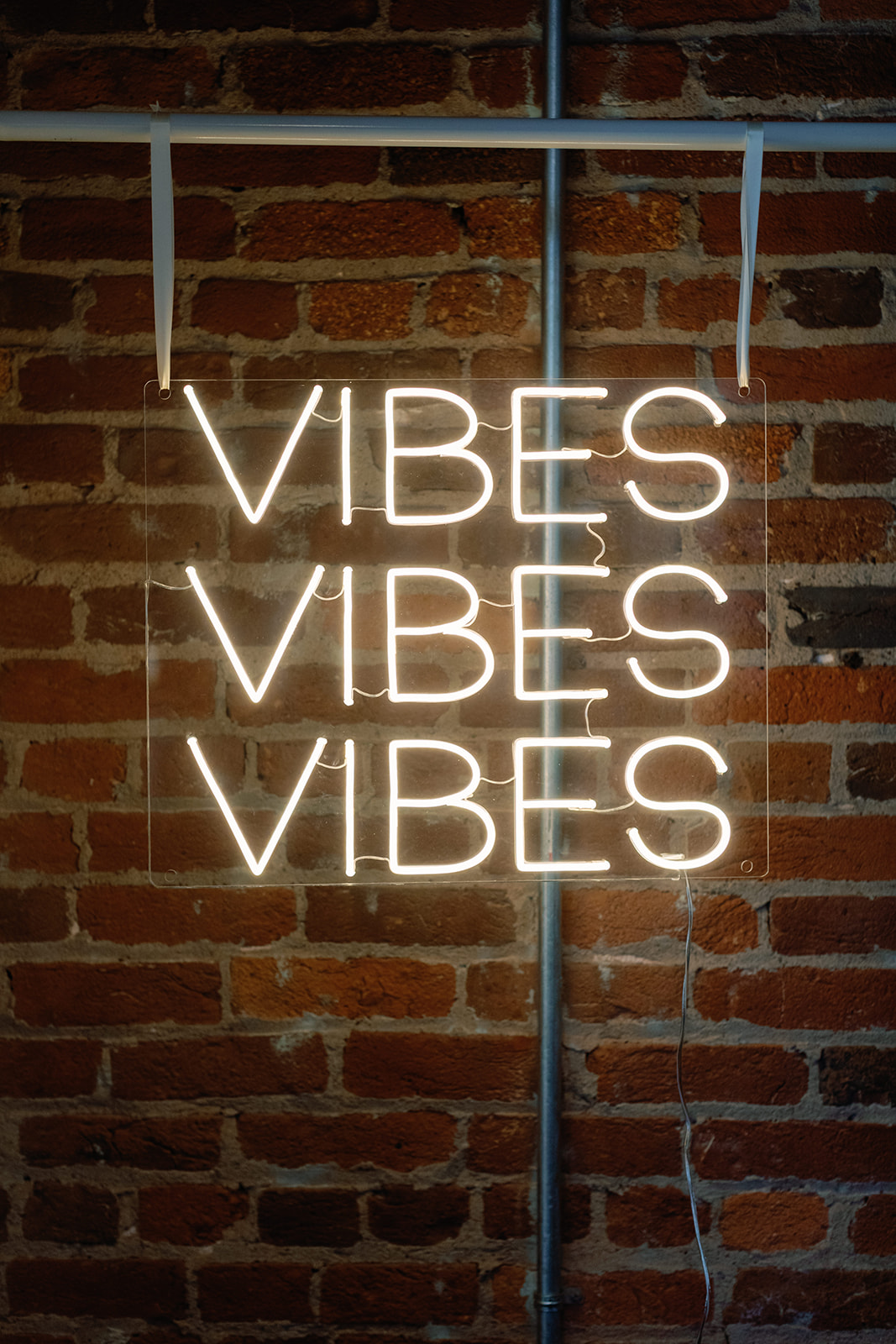 Thomas and Brenna's Wedding Thomas and Brenna's Wedding