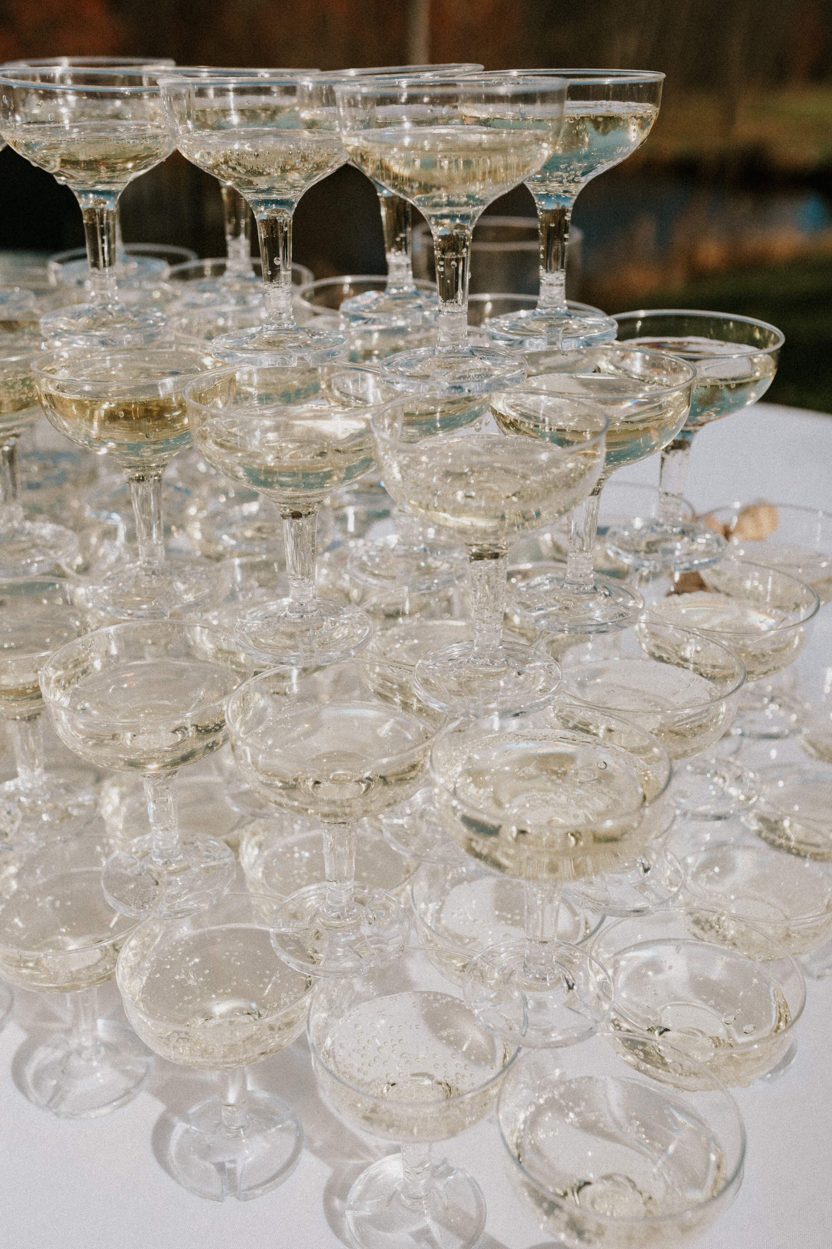 The Wedding of Jeff and Kerri The Wedding of Jeff and Kerri