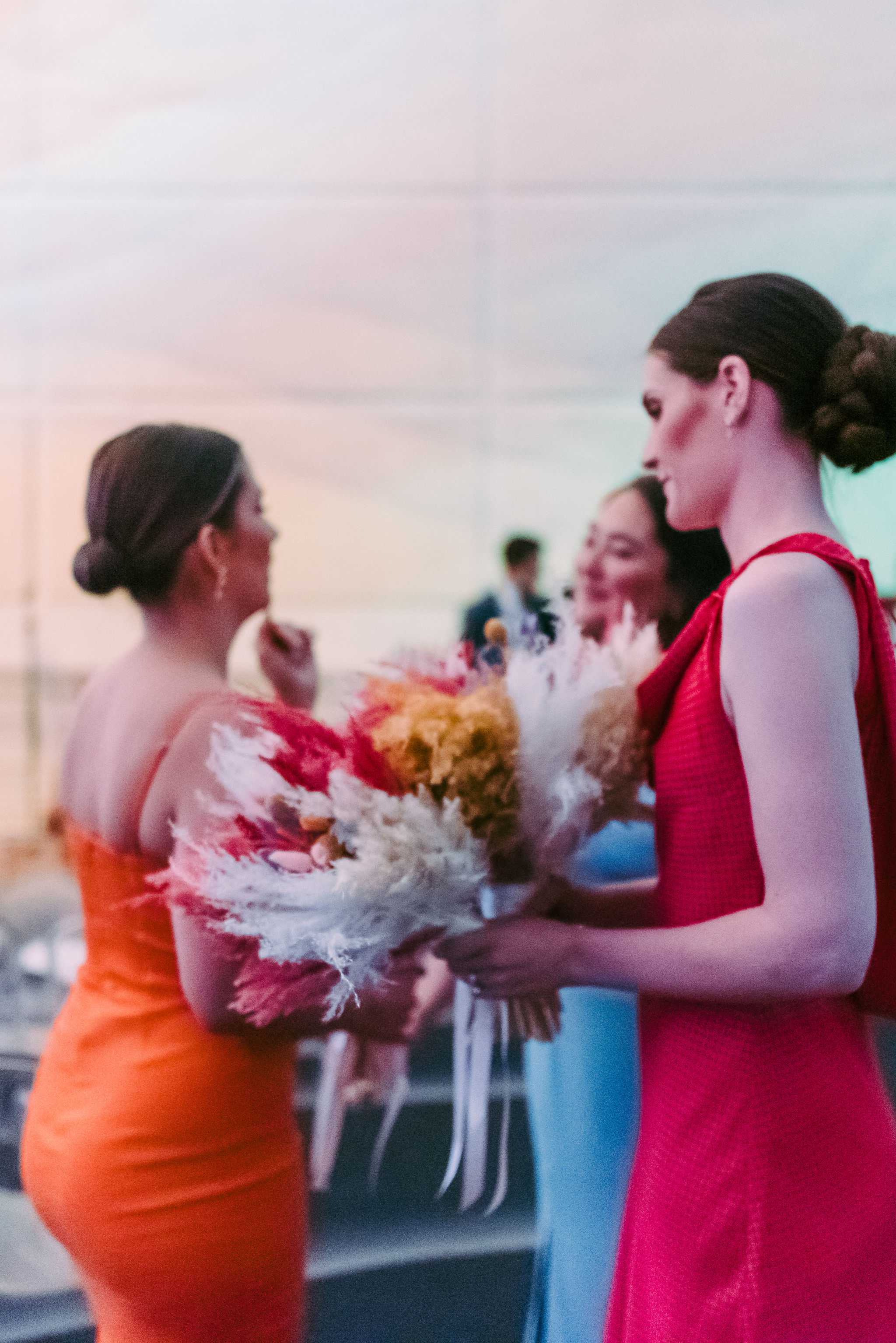 VeronicaandAndresWeddingDigitalColor-121 VeronicaandAndresWeddingDigitalColor-121