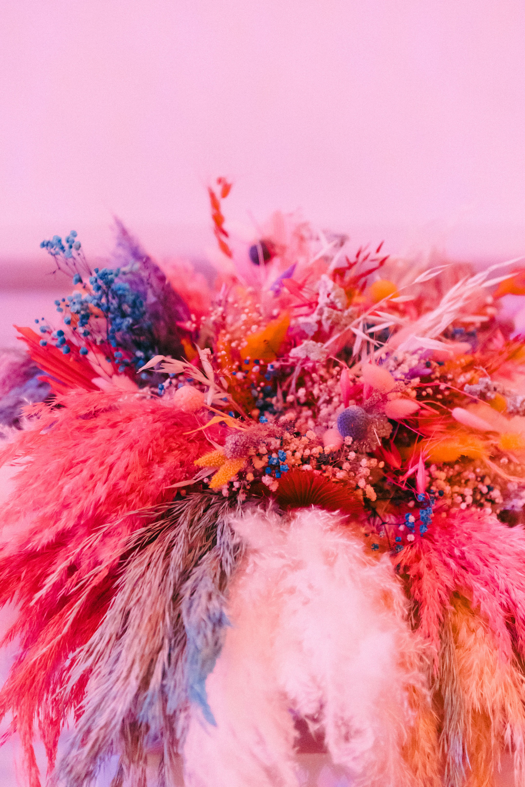 VeronicaandAndresWeddingDigitalColor-139 VeronicaandAndresWeddingDigitalColor-139