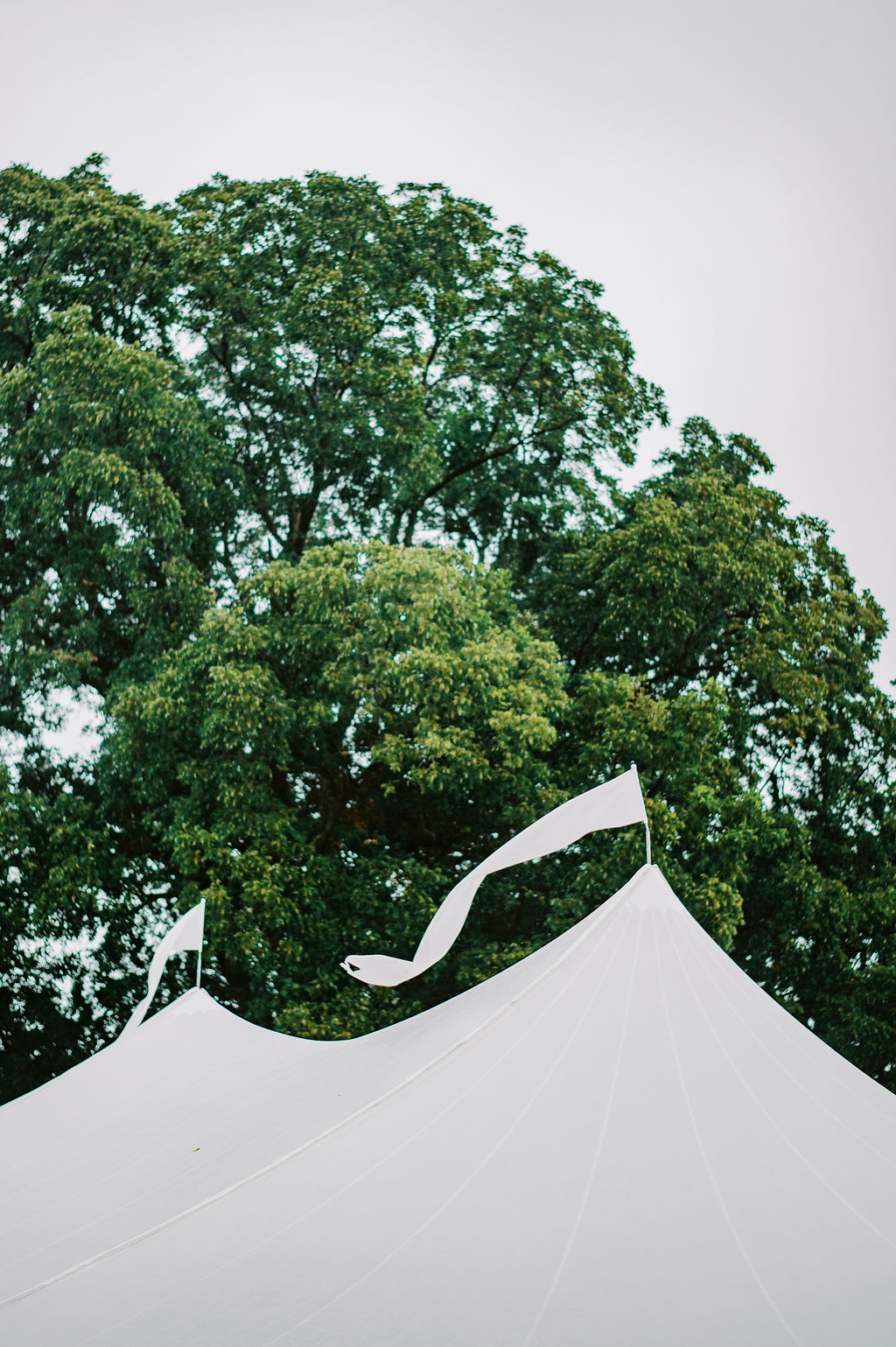 Michael-Marta-Wedding-photo-119 Michael-Marta-Wedding-photo-119