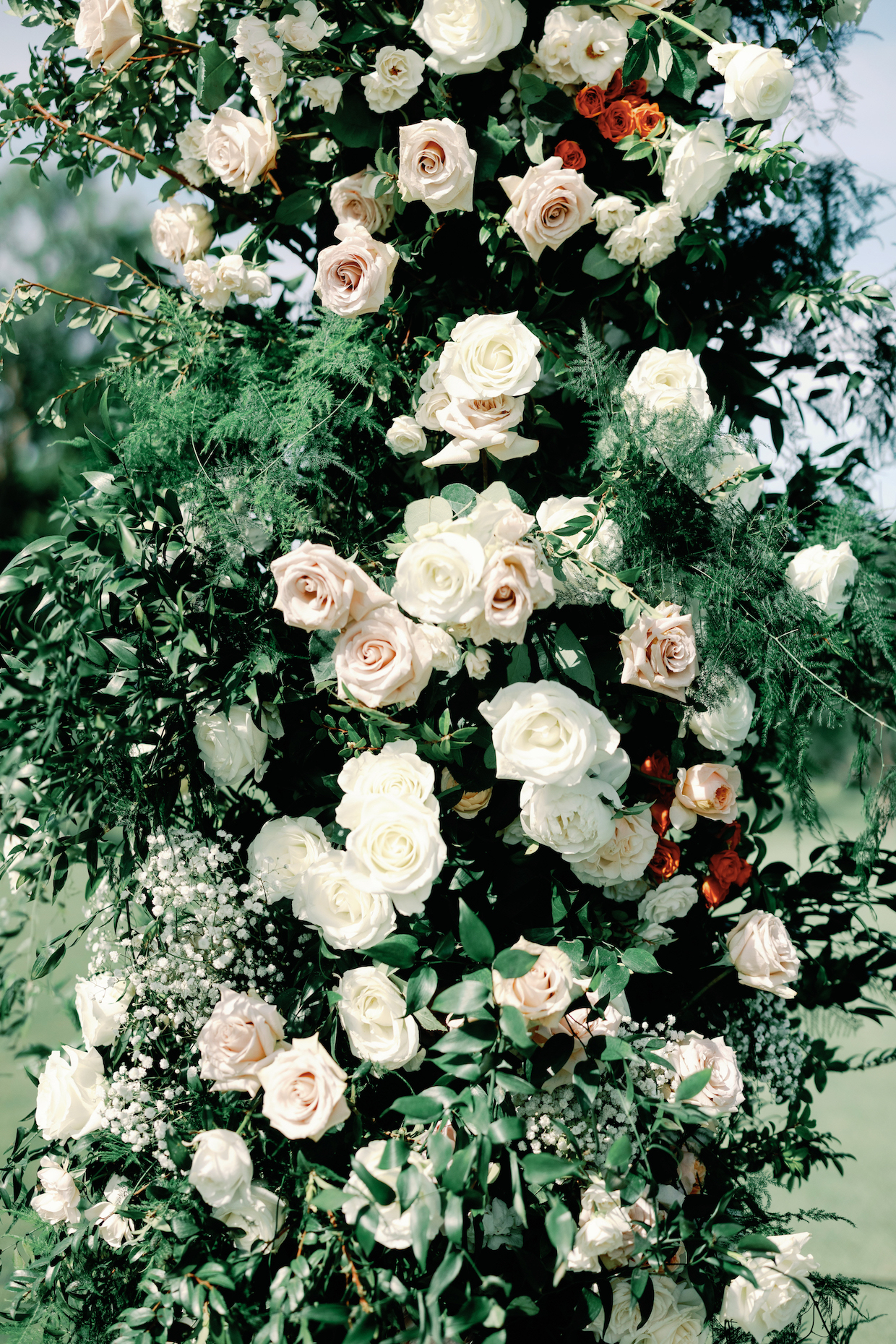 Alexi and Robert Alexi and Robert