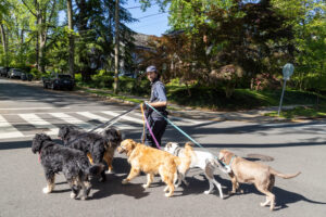 How a Freedom Plaza Skate Kid Started a Prominent Dog-Walking Business