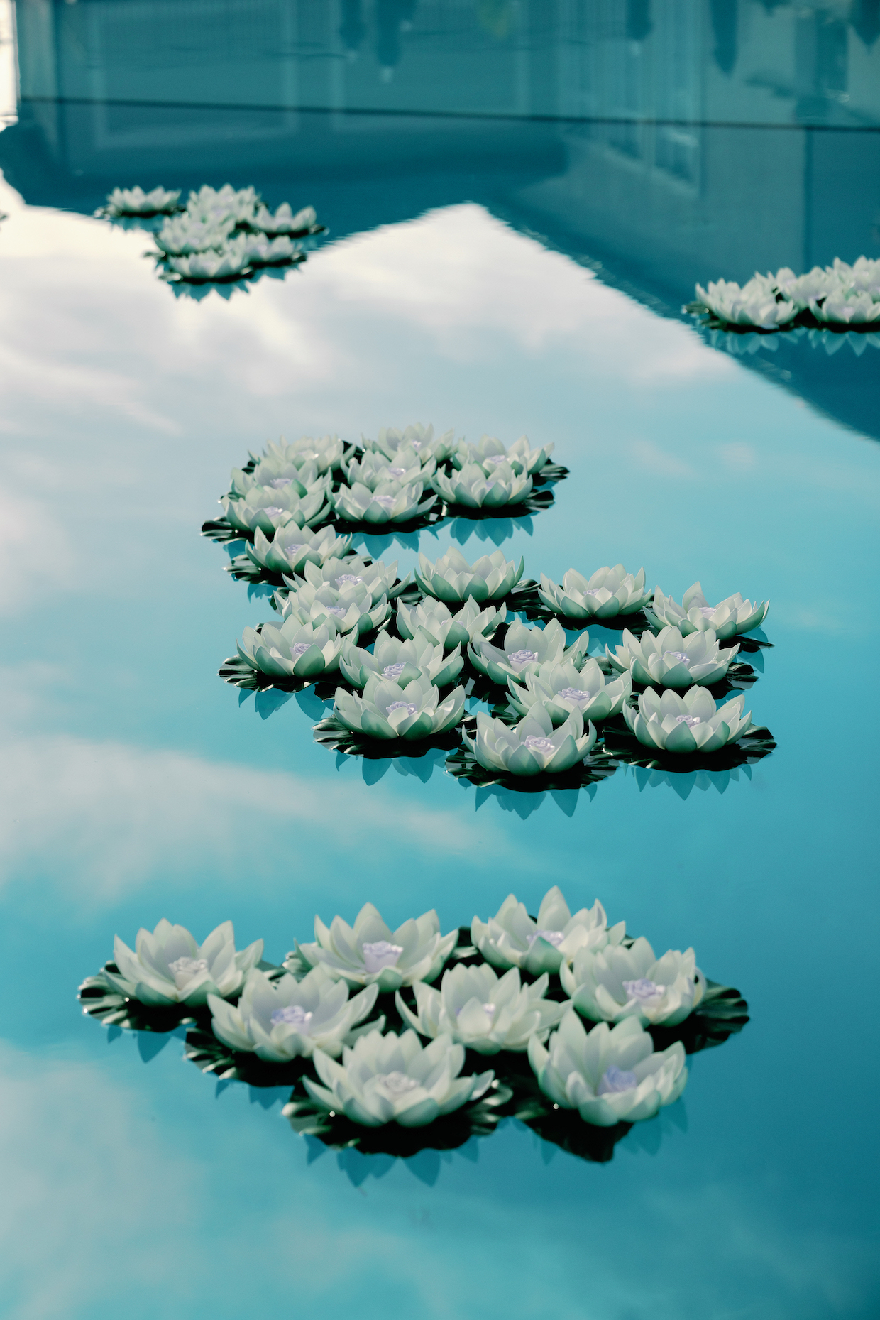 Alexi and Robert Alexi and Robert