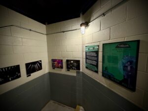 A Fun New Photo Exhibit Just Opened Backstage at the Atlantis