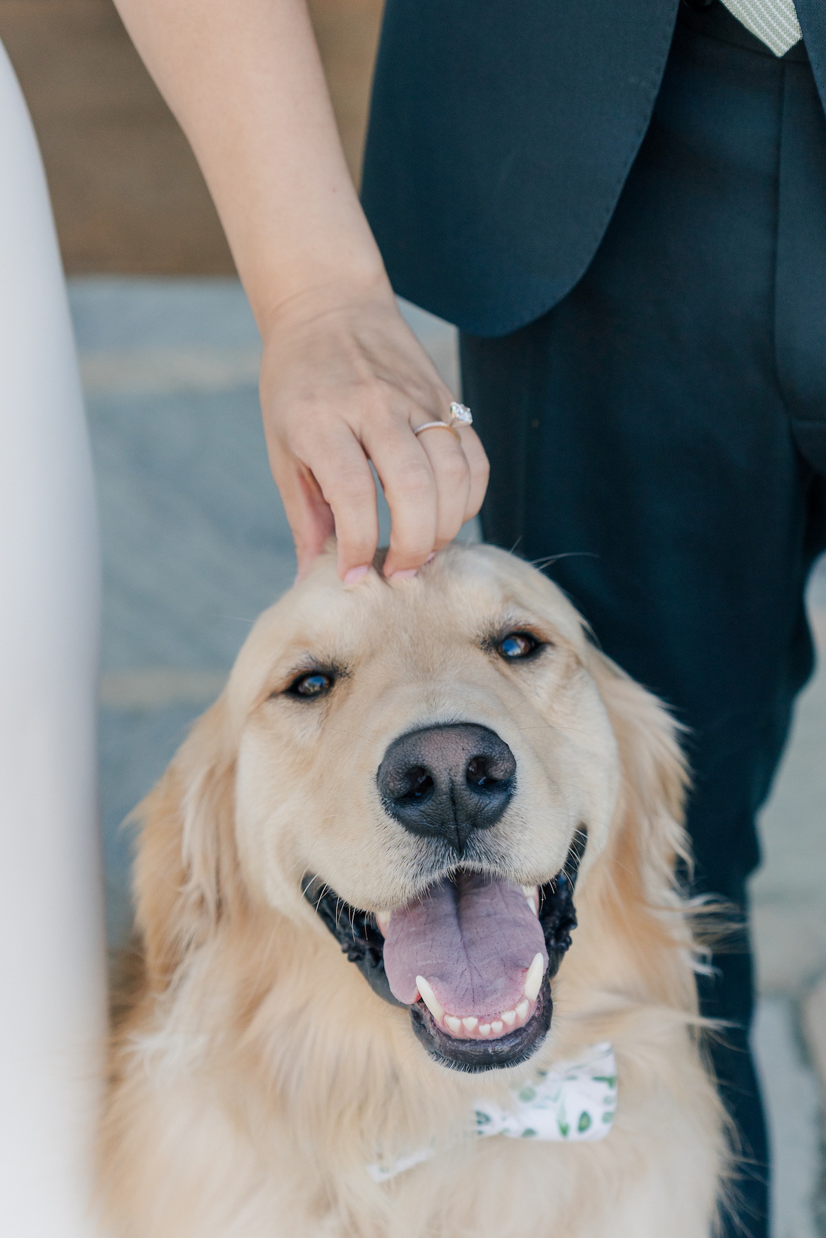 clifton-inn-wedding-photography-by-jo-32