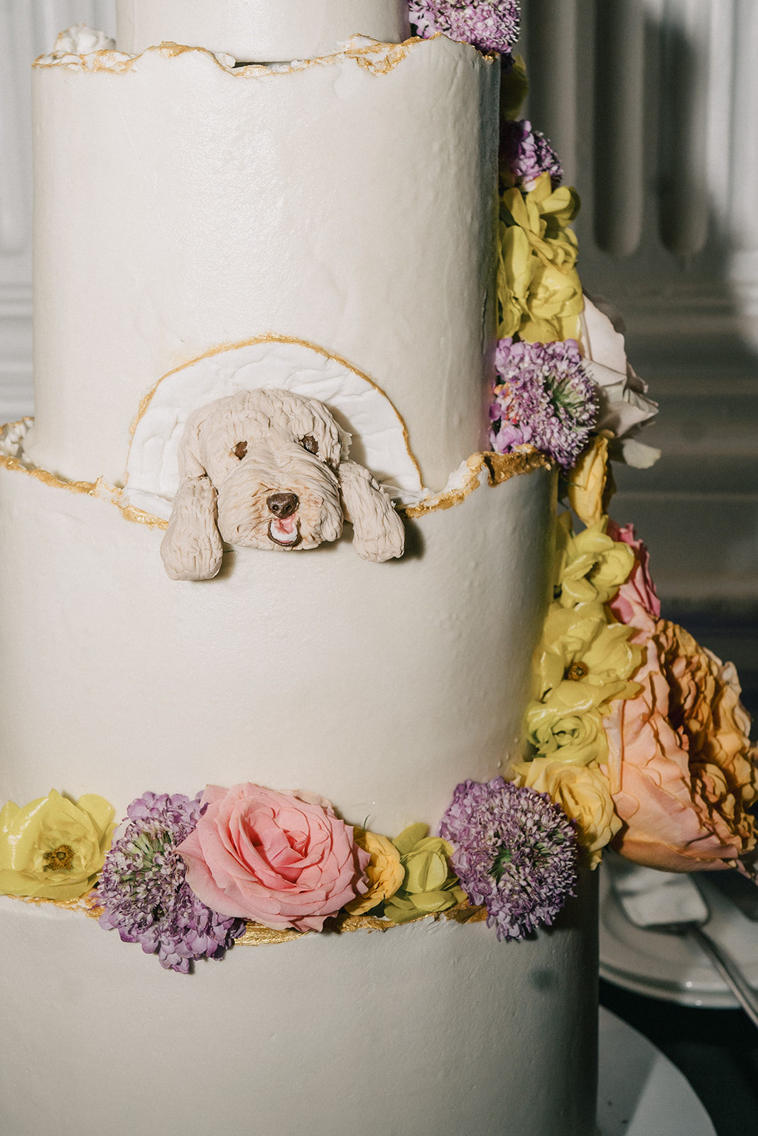 Priya and Jame's Wedding