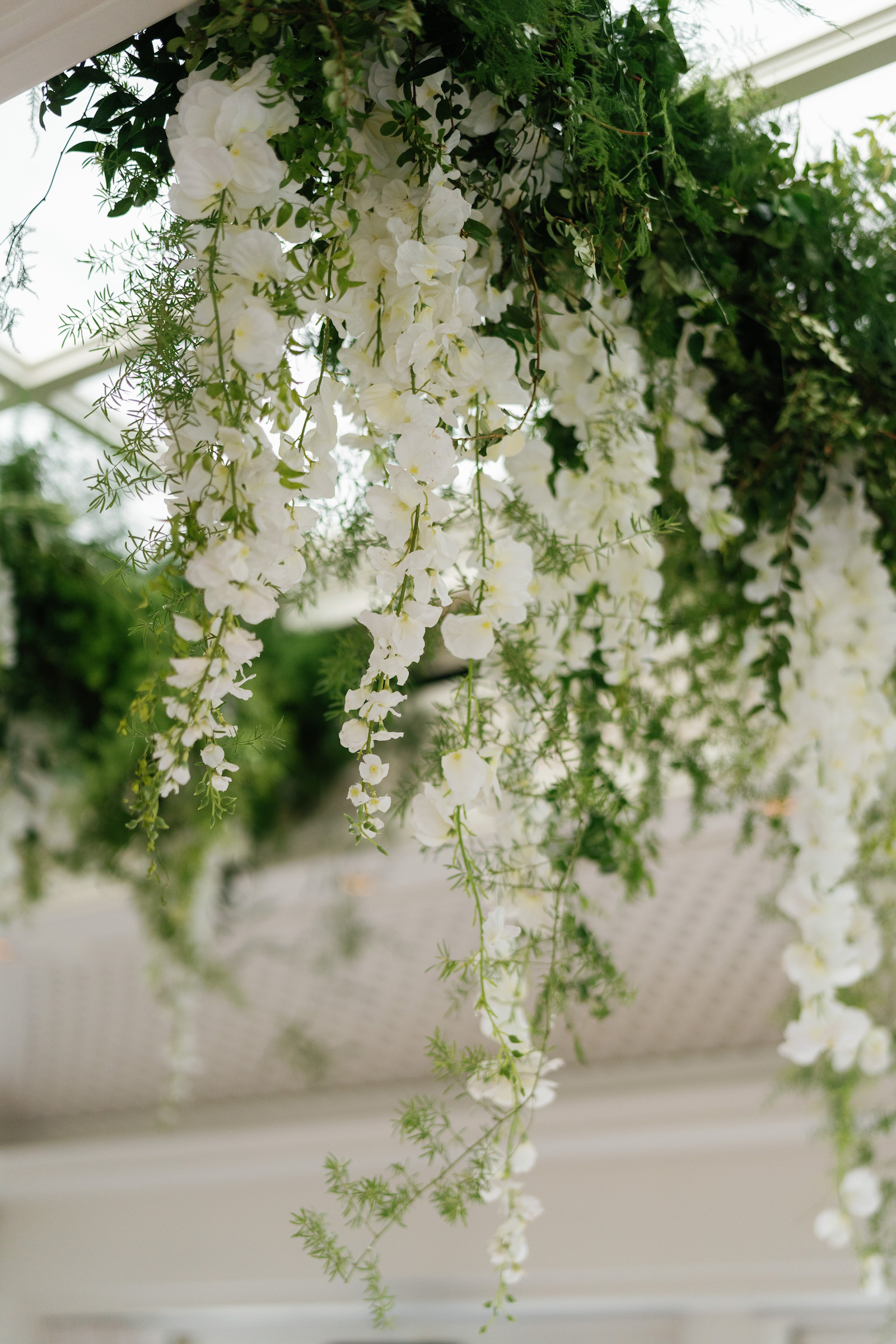 caitlinandian-3483 caitlinandian-3483