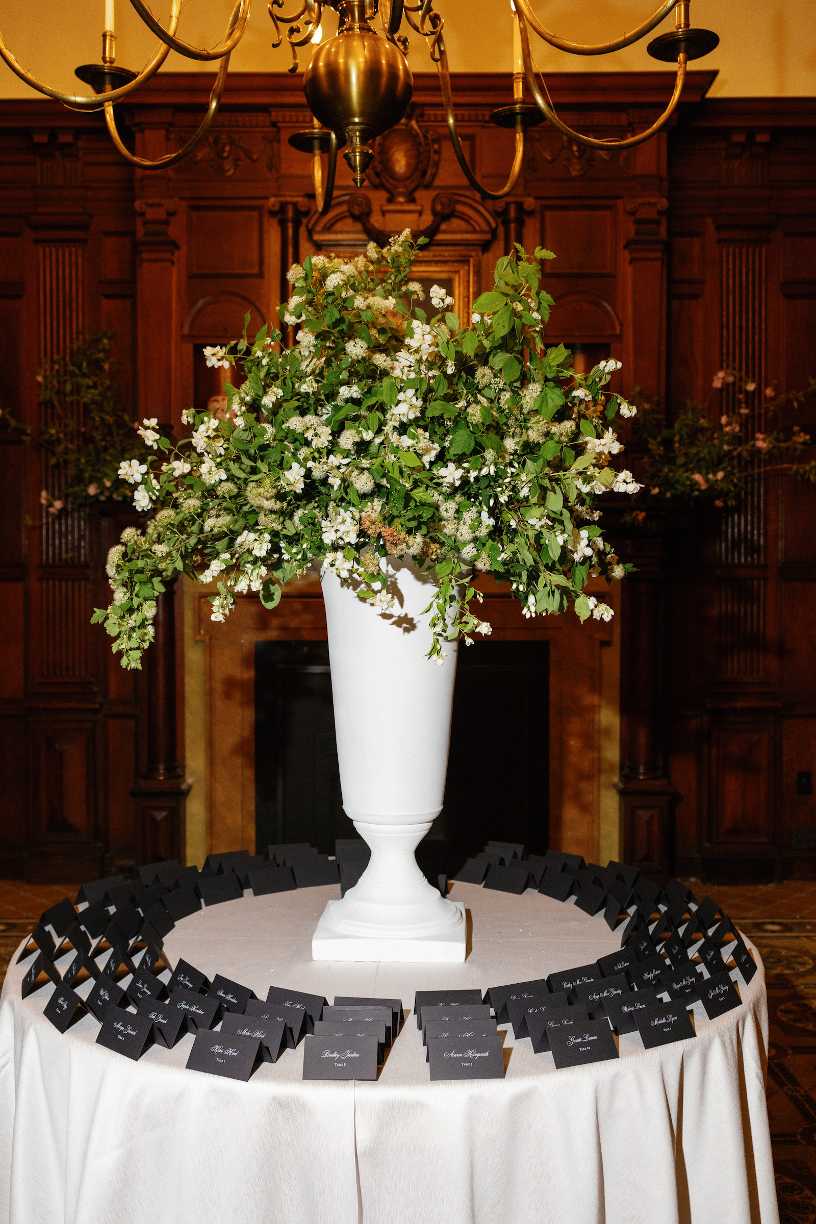 caitlinandian-3492 caitlinandian-3492