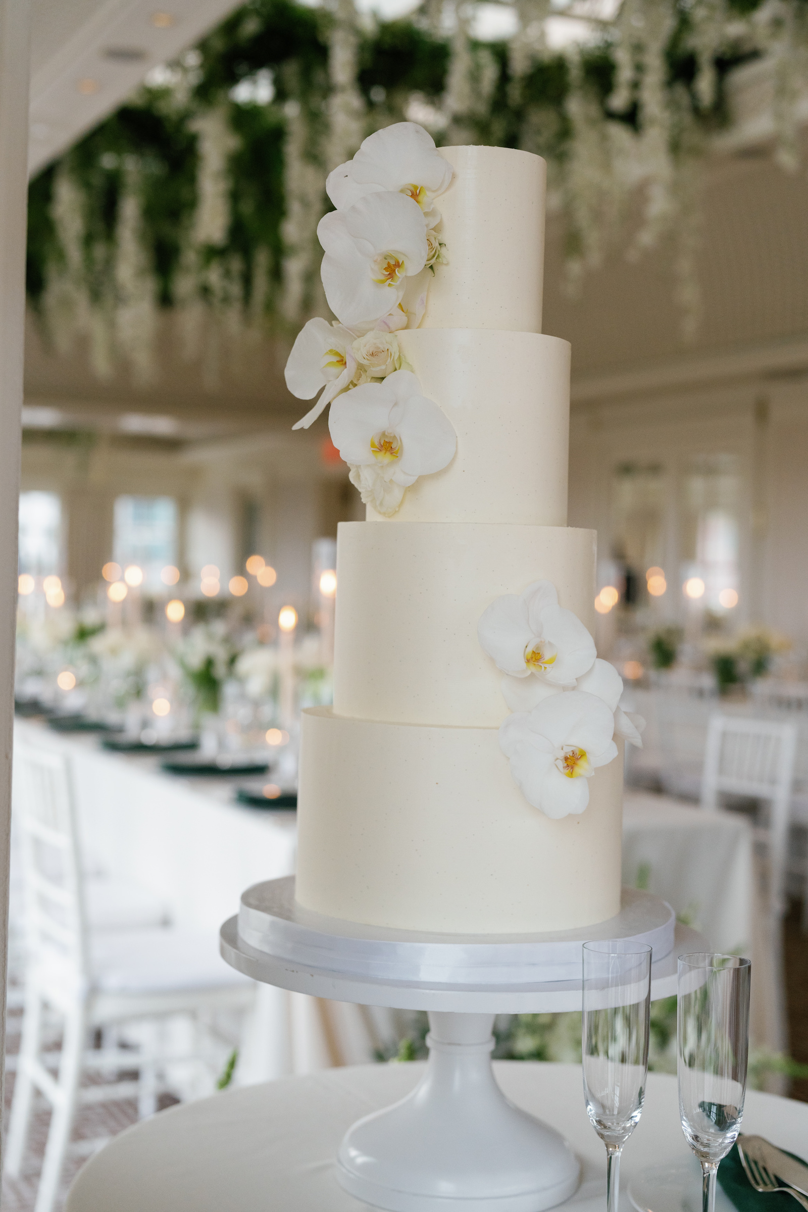 caitlinandian-3537 caitlinandian-3537